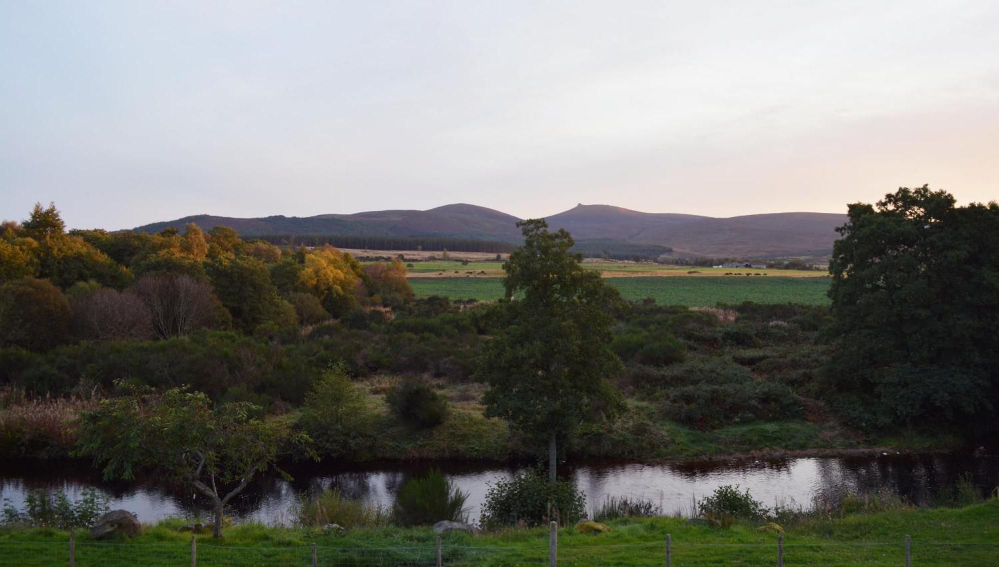 Feughside Hotell Strachan Rum bild